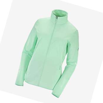 Salomon ESSENTIAL LIGHTWARM Kadın Kapüşonlu Sweatshirt Yeşil | TR 2536DFM